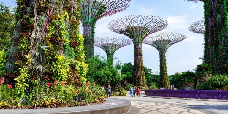 singapore