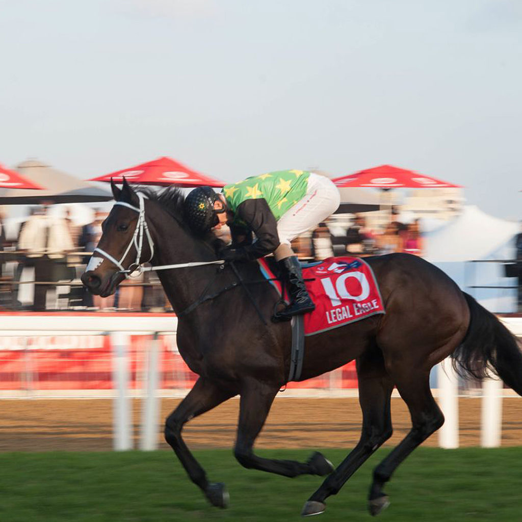 The Durban July 2024 Edusport SA's Leading Sport Travel Agent
