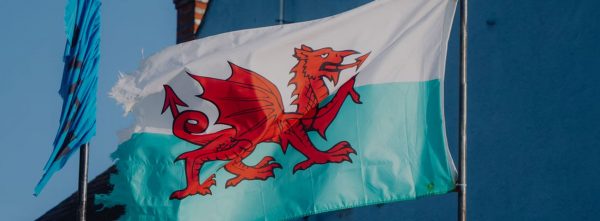Wales v Italy - Six Nations