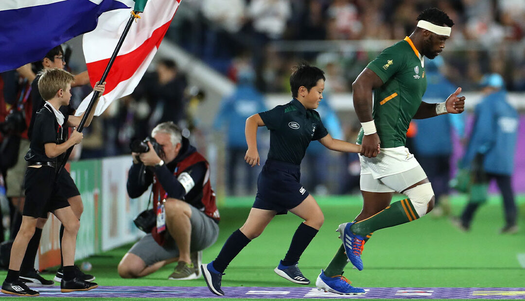 Springboks Home Matches 2024: What You Need to Know